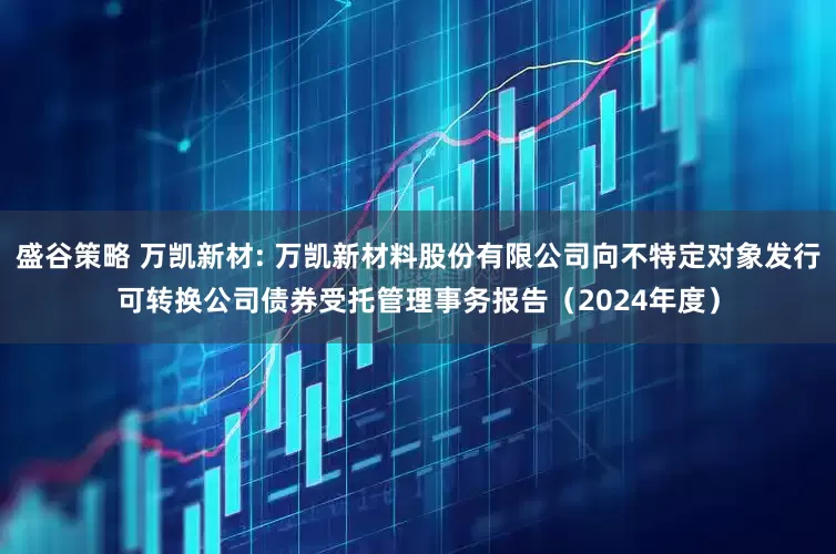 盛谷策略 万凯新材: 万凯新材料股份有限公司向不特定对象发行可转换公司债券受托管理事务报告（2024年度）